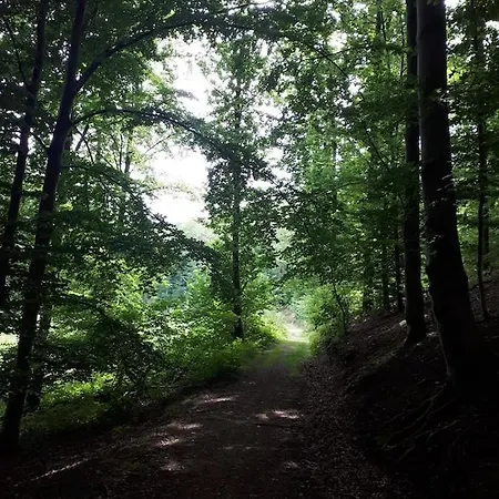 Ardennais 240 - La Boverie - *